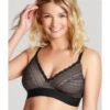 Cleo By Panache Lyzy Triangel Beha Zonder Beugel Grote Cupmaten D - K / T. 60-85 - Zwart - 9766