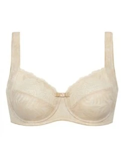 Dacapo Affabile Beugel BH Kleine - Grote Maten 75-105 Cup B Tot G - Bisquit - 351718
