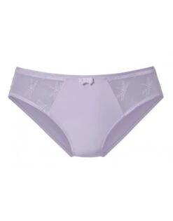 Dacapo Libella Slip Kleine - Grote Maten 36 Tot 52 - Lavendel - 352220