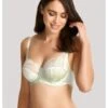 Panache Clara Hele Cup BH Kleine En Grote Maten D Tot J / T. 65-90 - Soft Sage - 7255