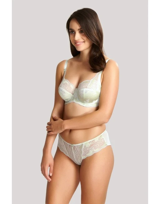 Panache Clara Hele Cup BH Kleine En Grote Maten D Tot J / T. 65-90 - Soft Sage - 7255 5 Panache Clara Hele Cup BH Kleine En Grote Maten D Tot J / T. 65-90 - Soft Sage - 7255 - Afbeelding 5