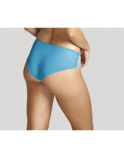 Panache Clara Slip Kleine - Grote Maten 34-46 - Peacock - 7252 -ondergoed winkel panache clara slip kleine grote maten 34 46 peacock 7252 2