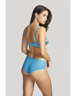 Panache Clara Slip Kleine - Grote Maten 34-46 - Peacock - 7252 -ondergoed winkel panache clara slip kleine grote maten 34 46 peacock 7252 3