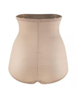 Panache Envy Gaine Slip Kleine - Grote Maten - 34-46 - Nude -7284 -ondergoed winkel panache envy gaine slip kleine grote maten 34 46 nude 7284 5