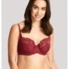 Panache Envy Hele Cup BH Kleine En Grote Maten 60-90 Cup D Tot K - Rosewood - 7285