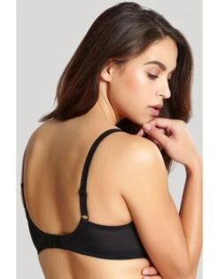 Panache Envy Hele Cup BH Kleine En Grote Maten 60-90 Cup D Tot K - Zwart - 7285 -ondergoed winkel panache envy hele cup bh kleine en grote maten 60 90 cup d tot k zwart 7285 6