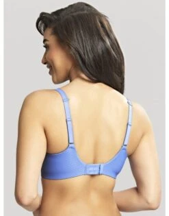 Panache Serene Hele Cup BH Kleine En Grote Maten 60-90 Cup D Tot K - Cornflower - 10305 9 Panache Serene Hele Cup BH Kleine En Grote Maten 60-90 Cup D Tot K - Cornflower - 10305 -ondergoed winkel panache serene hele cup bh kleine en grote maten 60 90 cup d tot k cornflower 10305 1