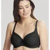 Panache Serene Hele Cup BH Kleine En Grote Maten 60-90 Cup D Tot K - Zwart - 10305
