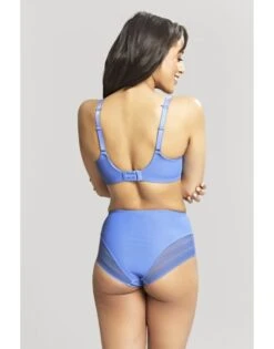 Panache Serene Hoge Slip Kleine En Grote Maten 34-46 - Cornflower - 10303 -ondergoed winkel panache serene hoge slip kleine en grote maten 34 46 cornflower 10303 1