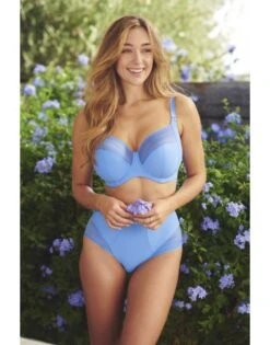 Panache Serene Hoge Slip Kleine En Grote Maten 34-46 - Cornflower - 10303 -ondergoed winkel panache serene hoge slip kleine en grote maten 34 46 cornflower 10303 2