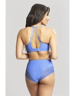 Panache Serene Hoge Slip Kleine En Grote Maten 34-46 - Cornflower - 10303 -ondergoed winkel panache serene hoge slip kleine en grote maten 34 46 cornflower 10303 5