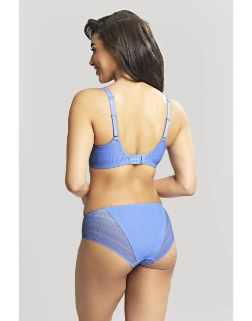 Panache Serene Slip Kleine En Grote Maten 34-46 - Cornflower - 10302 2 Panache Serene Slip Kleine En Grote Maten 34-46 - Cornflower - 10302 - Afbeelding 2