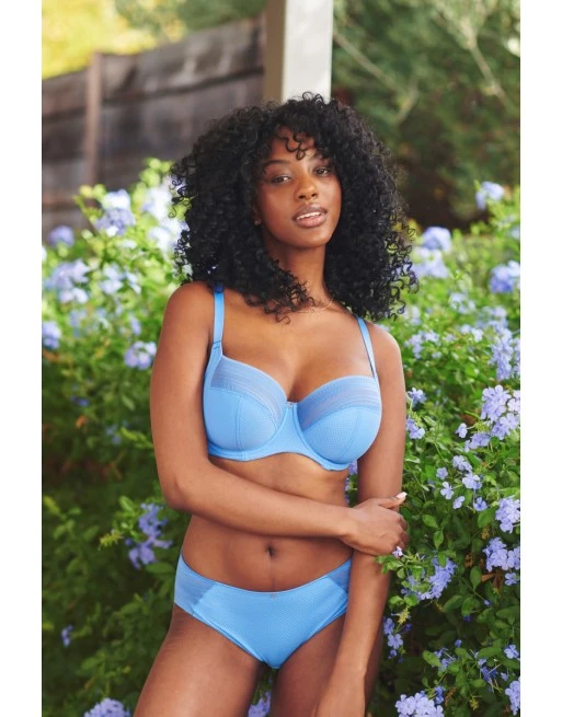 Panache Serene Slip Kleine En Grote Maten 34-46 - Cornflower - 10302 3 Panache Serene Slip Kleine En Grote Maten 34-46 - Cornflower - 10302 - Afbeelding 3