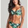 Panache Swim Bali Bikini Slip Kleine - Grote Maten 34-46 - Palm Print - SW1647