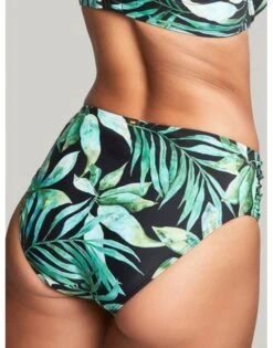 Panache Swim Bali Midi Bikini Slip Kleine - Grote Maten 34-46 - Palm Print - SW1646 -ondergoed winkel panache swim bali midi bikini slip kleine grote maten 34 46 palm print sw1646 2
