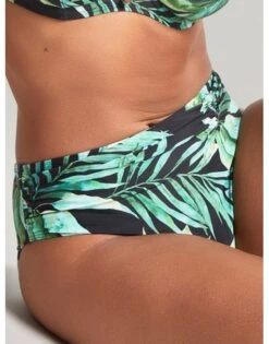 Panache Swim Bali Midi Bikini Slip Kleine - Grote Maten 34-46 - Palm Print - SW1646 -ondergoed winkel panache swim bali midi bikini slip kleine grote maten 34 46 palm print sw1646 3