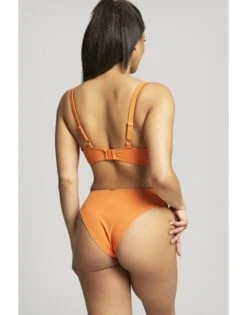 Panache Swim Golden Hour Hoog Uitgesneden Rio Lintjes Bikini Slip Kleine - Grote Maten - 34-46 Orange Zest - SW1629 -ondergoed winkel panache swim golden hour hoog uitgesneden rio lintjes bikini slip kleine grote maten 34 46 orange zest sw1629 1