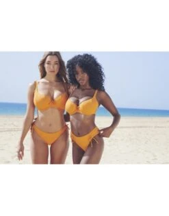 Panache Swim Golden Hour Hoog Uitgesneden Rio Lintjes Bikini Slip Kleine - Grote Maten - 34-46 Orange Zest - SW1629 -ondergoed winkel panache swim golden hour hoog uitgesneden rio lintjes bikini slip kleine grote maten 34 46 orange zest sw1629 6