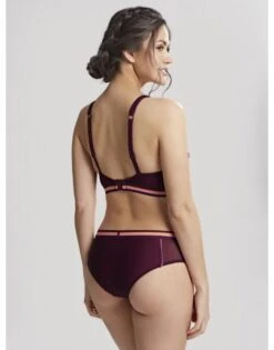 Panache Swim Kira Active Bikini Slip Kleine - Grote Maten 34-46 - Mulberry - SW1386 14 Panache Swim Kira Active Bikini Slip Kleine - Grote Maten 34-46 - Mulberry - SW1386 -ondergoed winkel panache swim kira active bikini slip kleine grote maten 34 46 mulberry sw1386 4
