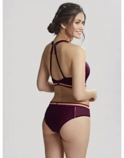 Panache Swim Kira Active Bikini Slip Kleine - Grote Maten 34-46 - Mulberry - SW1386 15 Panache Swim Kira Active Bikini Slip Kleine - Grote Maten 34-46 - Mulberry - SW1386 -ondergoed winkel panache swim kira active bikini slip kleine grote maten 34 46 mulberry sw1386 5