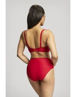 Panache Swim Marianna Hoge Bikini Slip Kleine - Grote Maten 34-46 - Crimson - 1595 -ondergoed winkel panache swim marianna hoge bikini slip kleine grote maten 34 46 crimson 1595 2