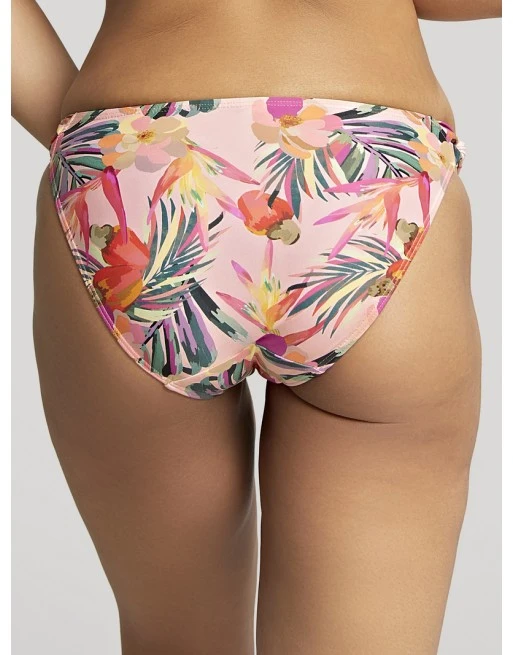 Panache Swim Paradise Bikini Slip Kleine - Grote Maten 34-46 - Tropical Print - SW1639 4 Panache Swim Paradise Bikini Slip Kleine - Grote Maten 34-46 - Tropical Print - SW1639 - Afbeelding 4