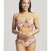 Panache Swim Paradise Midi Bikini Slip Kleine - Grote Maten 34-46 - Tropical Print - SW1636