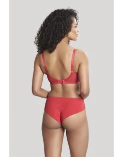 Panache Tango Balconnet BH Kleine En Grote Maten 65-100 Cup D Tot K - Rouge - 3251 -ondergoed winkel panache tango balconnet bh kleine en grote maten 65 100 cup d tot k rouge 3251 3