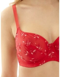 Panache Tango Balconnet BH Kleine En Grote Maten 65-100 Cup D Tot K - Ruby - 3251 -ondergoed winkel panache tango balconnet bh kleine en grote maten 65 100 cup d tot k ruby 3251 3