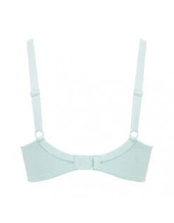 Panache Tango BH Kleine En Grote Maten 65-100 Cup D Tot K - Pale Jade - 3251 -ondergoed winkel panache tango bh kleine en grote maten 65 100 cup d tot k pale jade 3251 4