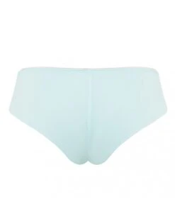 Panache Tango Slip Kleine - Grote Maten 34-46 - Pale Jade - 9092 -ondergoed winkel panache tango slip kleine grote maten 34 46 pale jade 9092 5