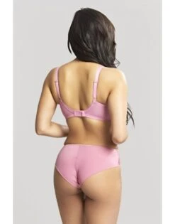 Panache Tango Slip Kleine - Grote Maten 34-46 - Rose - 9073 -ondergoed winkel panache tango slip kleine grote maten 34 46 rose 9073 3