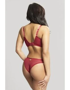 Panache Yasmin Rio Slip Kleine - Grote Maten 34-46 - Ruby - 10642 -ondergoed winkel panache yasmin rio slip kleine grote maten 34 46 ruby 10642 3