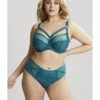 Sculptresse Dionne Midi Slip Kleine - Grote Maten 40-50 - Teal Animal - 9692