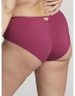 Sculptresse Dionne Midi Slip Kleine - Grote Maten 40-52 - Orchid - 9692 10 Sculptresse Dionne Midi Slip Kleine - Grote Maten 40-52 - Orchid - 9692 -ondergoed winkel sculptresse dionne midi slip kleine grote maten 40 52 orchid 9692 2