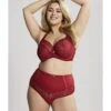 Sculptresse Estel Tailleslip Kleine - Grote Maten 38-50 - Raspberry - 9692