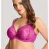 Sculptresse Roxie Plunge BH Grote Cupmaten D Tot J / T. 75-105 - Orchid - 9586
