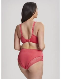 Sculptresse Roxie Tailleslip Kleine - Grote Maten 38-52 - Hot Coral - 9582 -ondergoed winkel sculptresse roxie tailleslip kleine grote maten 38 52 hot coral 9582 5