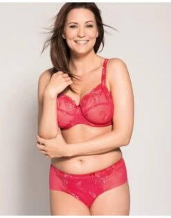 Ulla Dessous Carla Hele Cup BH Kleine En Grote Maten 70-120 Cup B Tot G - Framboise - 2123 -ondergoed winkel ulla dessous carla hele cup bh kleine en grote maten 70 120 cup b tot g framboise 2123 5