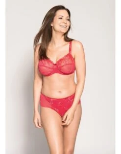 Ulla Dessous Carla Hele Cup BH Kleine En Grote Maten 70-120 Cup B Tot G - Framboise - 2123 -ondergoed winkel ulla dessous carla hele cup bh kleine en grote maten 70 120 cup b tot g framboise 2123 6