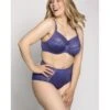 Ulla Dessous Ella Gaine Slip Kleine - Grote Maten 38-60 - Violet - 3610
