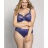 Ulla Dessous Ella Slip Kleine - Grote Maten 38-60 - Violet - 3632