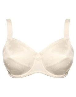 Ulla Dessous Viola T-Shirt BH Kleine En Grote Maten 70-110 Cup H Tot L - Champagne - 3225 -ondergoed winkel ulla dessous viola t shirt bh kleine en grote maten 70 110 cup h tot l champagne 3225 1